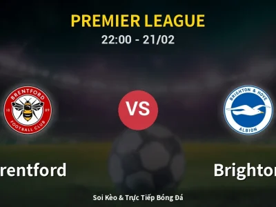 🔴 Trực Tiếp: Brentford 0-0 Brighton – Link Xem Premier League (Full HD)