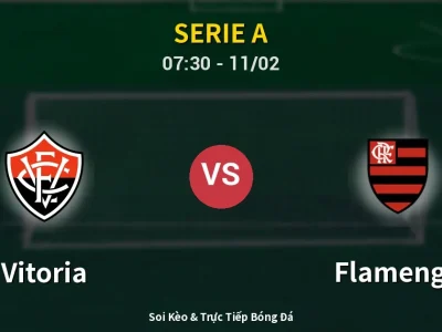 Kết Quả: Vitoria 1-2 Flamengo – Highlight & Bàn Thắng | Serie A