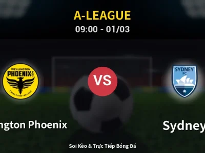 Kết Quả: Wellington Phoenix 0-1 Sydney – Highlight & Bàn Thắng | A-League