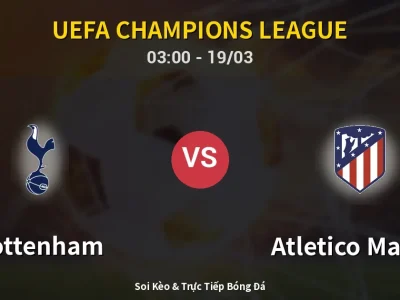 Kết Quả: Tottenham 3-2 Atletico Madrid – Highlight & Bàn Thắng | UEFA Champions League